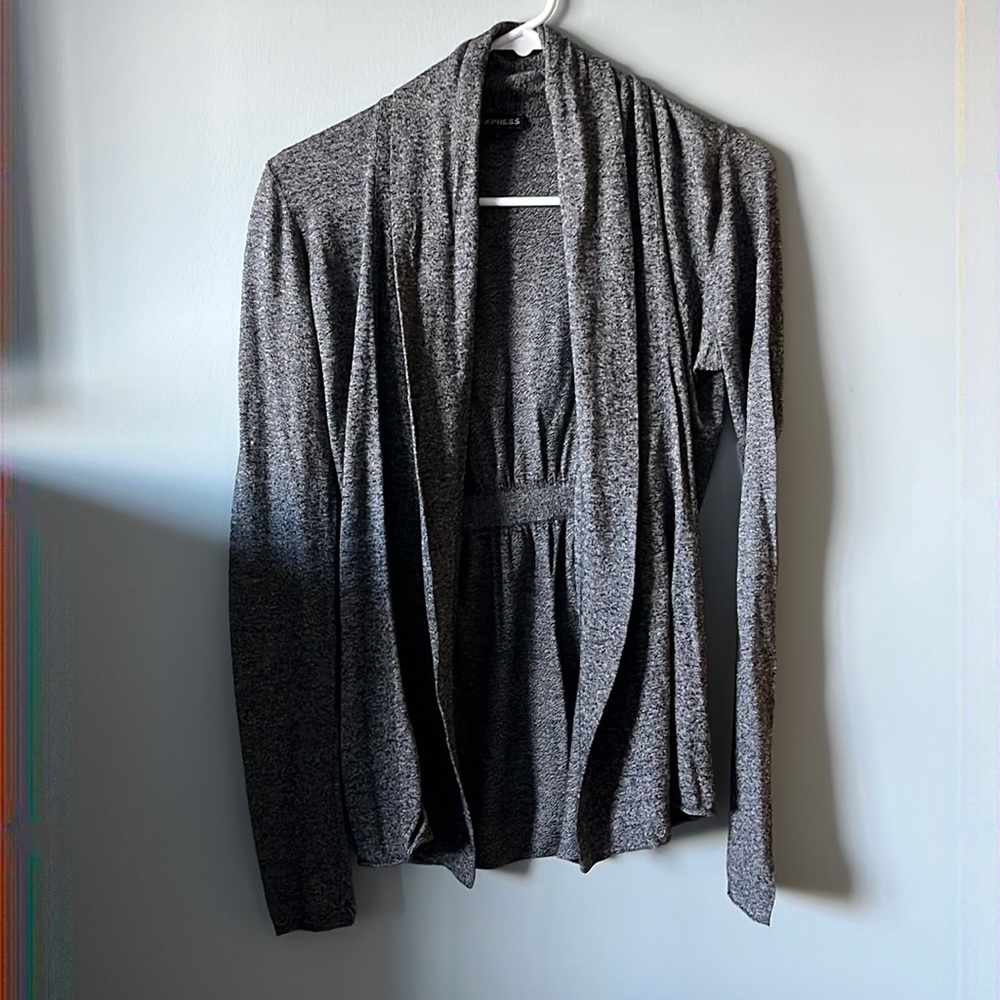 Express Cardigan Sweater